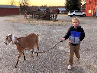 photo Paul and Gazelle
