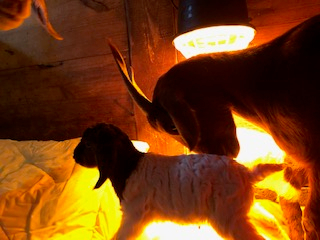 photo Brandi and Baby