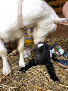 photo Seven and baby boy