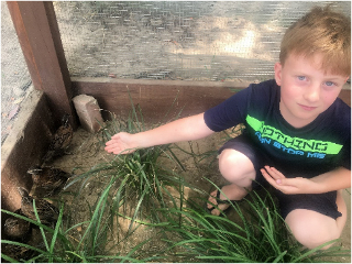 photo Isaih and quail