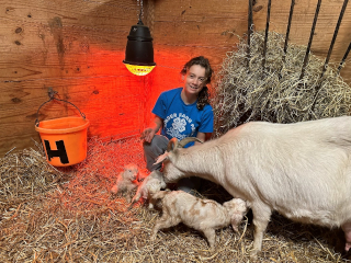 photo Stella's babies