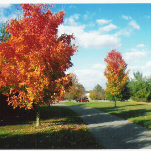 photo View near the end of the ball field parking lot - Taken in October 2010 by Gretchen Peterson