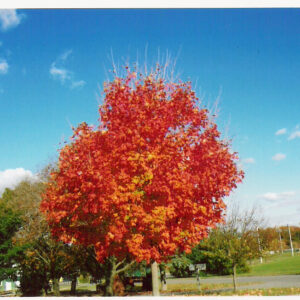 photo View near the end of the ball field parking lot - Taken in October 2010 by Gretchen Peterson