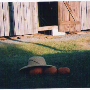 photo Pumpkins from the Fall Harvest Festival Pumpkin -  by unknown photographer