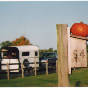 photo Ponies from the Pont Ride leaving the Fall Harvest Festival - Taken on October 9, 2010 by Debbie Bohdal