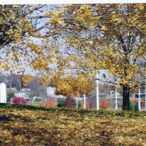 photo View from above paved path near Kinder Road - Taken by Bonnie Pavlak by Bonnie Pavlak