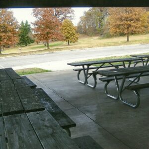 photo Tables & Trees -  by Donna Bennett