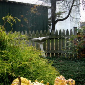 photo Gourds -  by Maddy Beyer