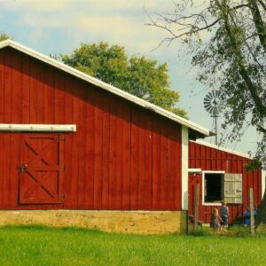 photo Checking out the Stable -  by James Halvis