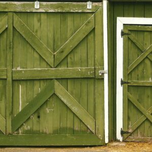 photo The Green Doors -  by Rebecca Dennet