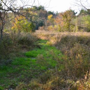 photo A Path -  by Charles (Buck) Linthicum