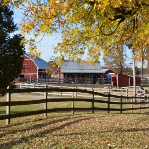 photo Autumn Barnyard -  by Charles (Buck) Linthicum