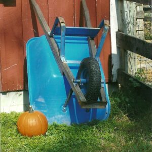photo Pumpkin & Red Barn -  by Donna Dennett
