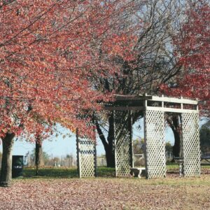 photo Picnic Area -  by Karen Schoenhaar