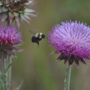 photo Taken at Kinder Farm Park by Martin McCann