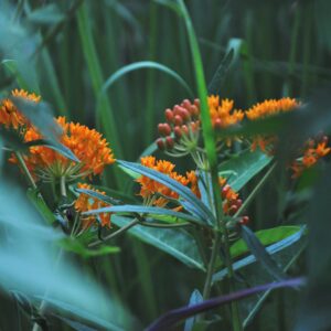 photo Taken at Kinder Farm Park. by Martin McCann