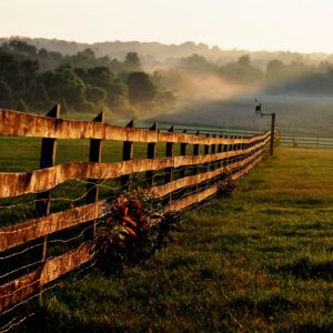 photo Border -  by Martin McCann