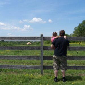 photo Checking on Clover -  by Stephanie Coonradt