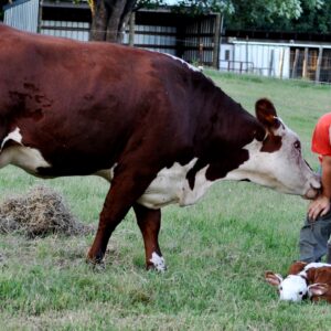 photo Grateful Mother -  by Martin McCann