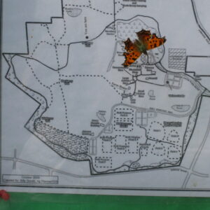 photo Which Way South? - taken in October by Joan Parvis