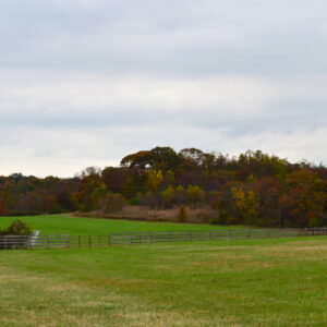 photo Fall Fields - taken in October by Melinda Myers