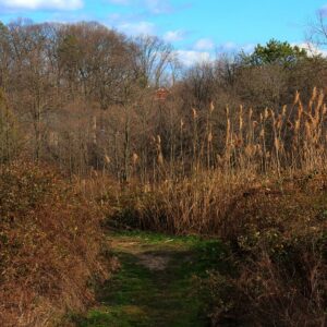 photo Winter View - taken in December by Jeff Kozub