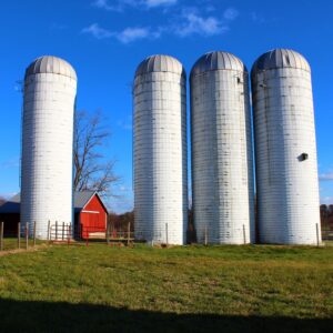 photo Silent Guards - taken in December by Chuck Kozub
