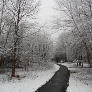photo Snowy Trail - Taken Saturday, Feb 11, 2012 by Bonnie Pavlak