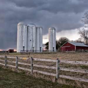 photo Blustery Day - Taken on March 4, 2012 by Wendy Crowe