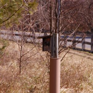 photo Bluebird Box - Taken March 2nd by Patrick Westman