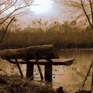 photo Log bench - Taken on March 5th at the Duck Pond by Cecilia Surodjawan
