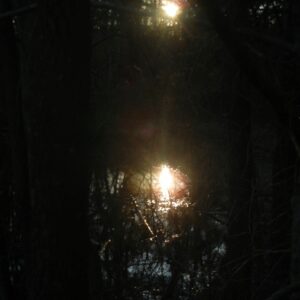 photo Sunset - Taken on February 21st at Bunk's Pond by Michael P. Martinez