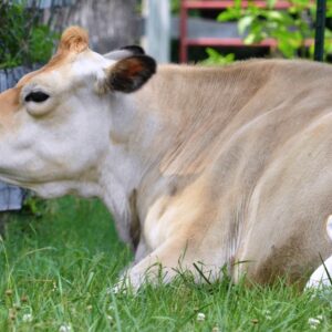 photo Buddies - Taken on June 30, 2013 by June Morris