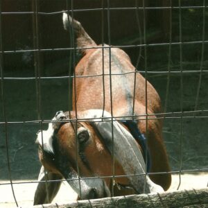 photo Kid - Taken August 17, 2013 by Christine Ziegler