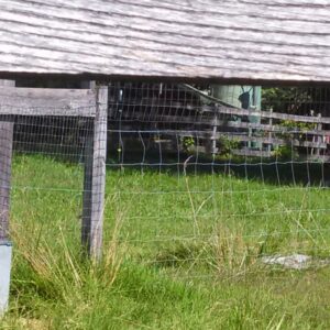 photo Cow Pasture - Taken on July 26, 2013 by Blanca Moon Thorpe