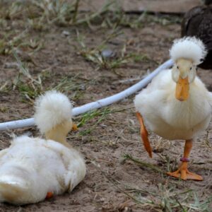 photo Nice Haircut - Taken on September 7, 2013 by Martin McCann