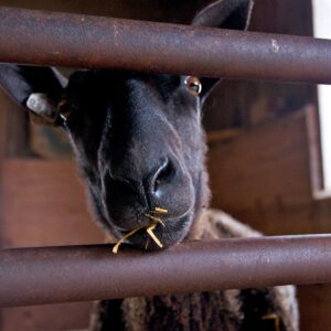 photo Mmmmm - Taken on October 12, 2013 by Ben Trevey (age 13)