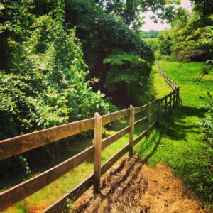 photo Forest and Field - Taken by the road that runs past the Visitors Center to the farm yard on August 14, 2013 by Michelle Armstrong