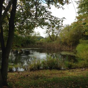 photo Lakeside - Taken on October 19, 2013 by Bethany Kerley