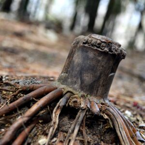 photo Bamboo Stump - Taken near Bunk's Pond on April 11, 2013 by Katlin Chubb