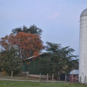 photo Fall Invades - Taken on October 30, 2013 by Cindy Myers