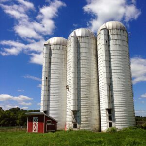 photo Standing Tall - Taken on August 14, 2013 by Michelle Armstrong