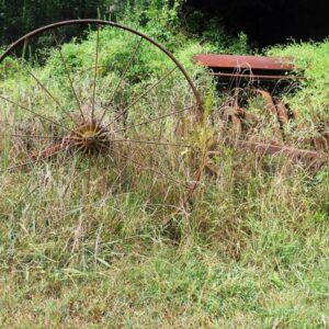 photo Wheel - Taken near Youth Camping Area on September 8, 2013 by Lorne Matthew Young
