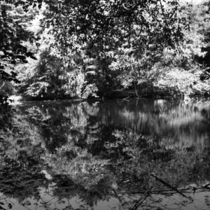 photo Bunk's Pond (BW) - Taken on August 26, 2013 by Roy Ingman