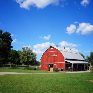 photo A Beautiful Day - Taken August 4, 2013 by Lonnie Kishiyama
