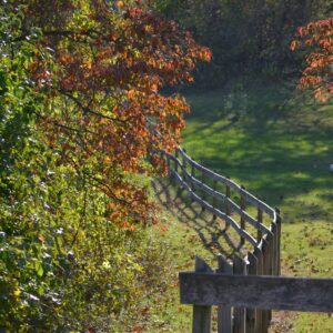 photo Fences - Taken on October 2013 by Melinda Myers
