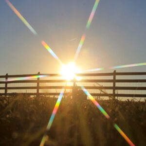 photo Sunlight - Taken on October 2013 by Brittany Haas