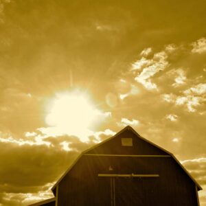 photo Sunburst - Taken on September 22, 2013 by Shayna Matthews