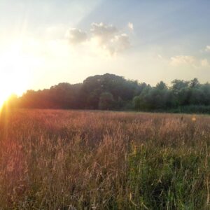 photo Setting Sun - Taken on July 16, 2013 by Abigail Lugmayer