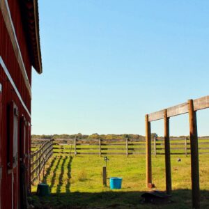 photo Blue Bucket in Barnyard - Taken on October 20, 2013 by Chuck Kozub
